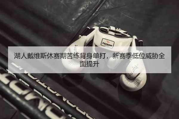 湖人戴维斯休赛期苦练背身单打，新赛季低位威胁全面提升